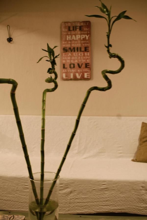 Appartement Secret Garden à Kavala Extérieur photo